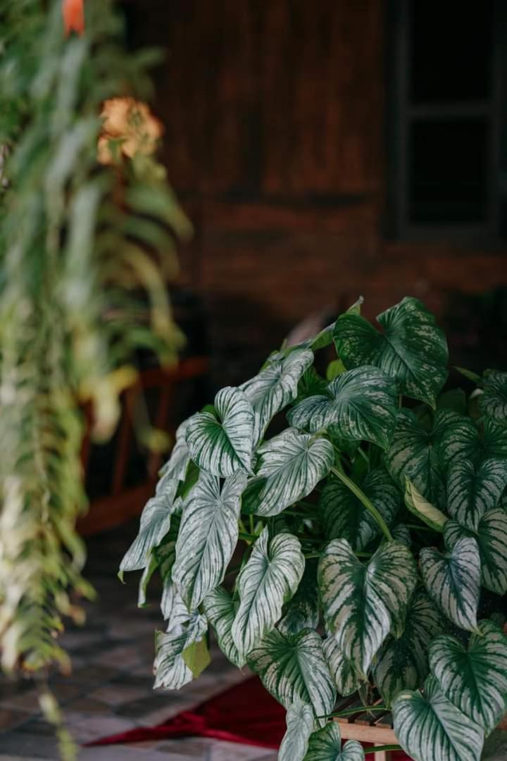 Harmony Garden - Home And Coffee Hue Exterior photo